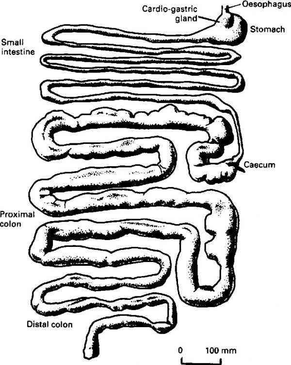 3 figure1 1