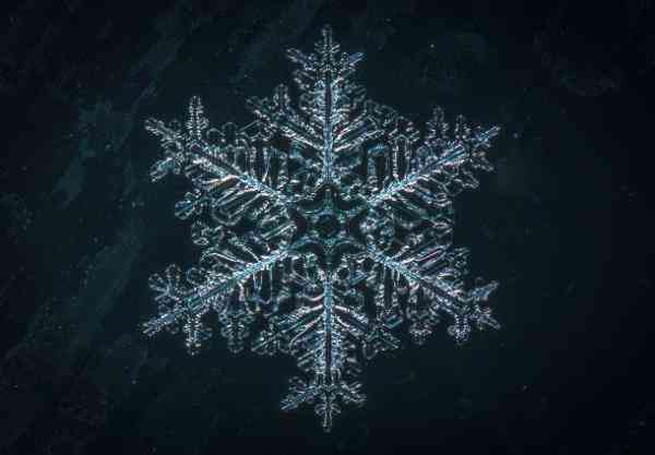 snowflake 4 610x424