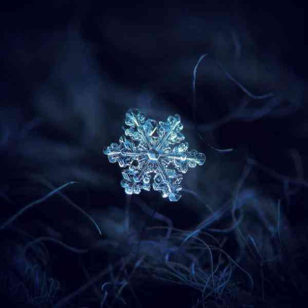 snowflake i 610x610