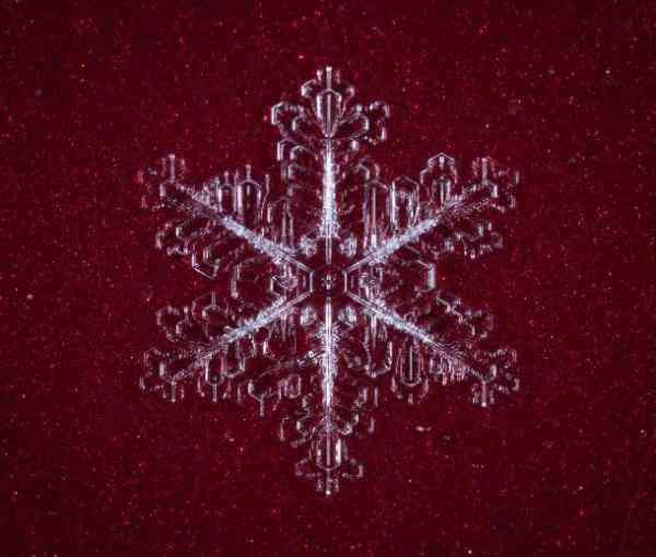 snowflake red background 610x517