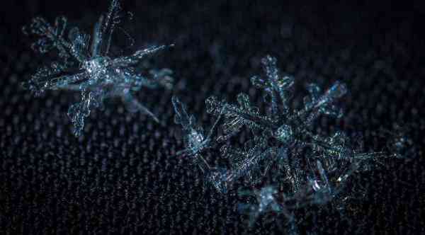 two snowflakes 610x338