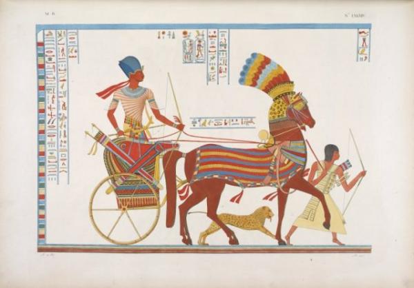 egyptian chariot colour 640x446