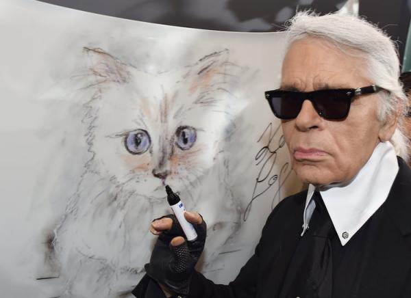 lost bird meo cua karl lagerfeld se thua ke tai san 1