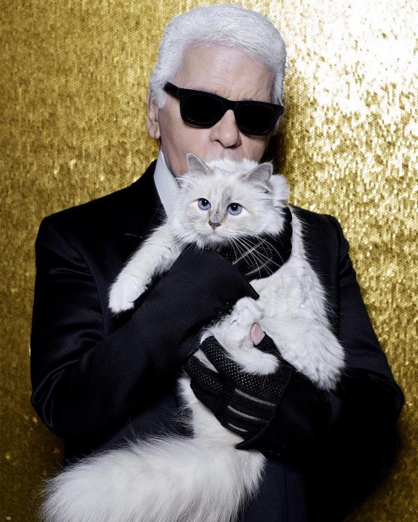 lost bird meo cua karl lagerfeld se thua ke tai san 2