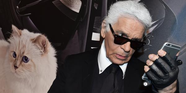 lost bird meo cua karl lagerfeld se thua ke tai san 5