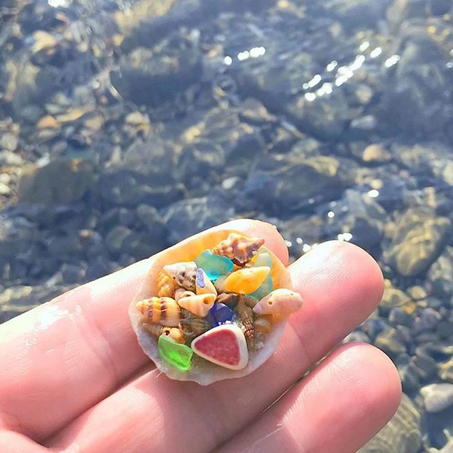 sea treasures on the beach 16