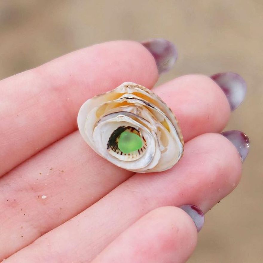 sea treasures on the beach 32