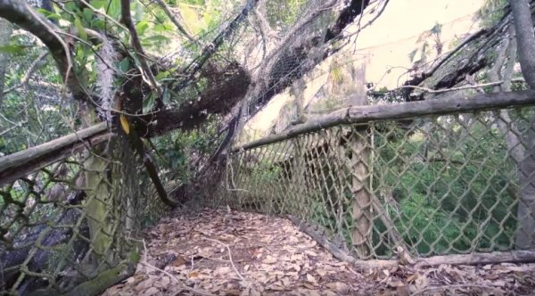 disney discovery island abandoned0