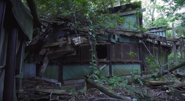 disney discovery island abandoned10