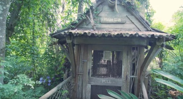 disney discovery island abandoned11