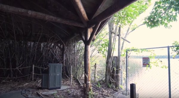 disney discovery island abandoned15