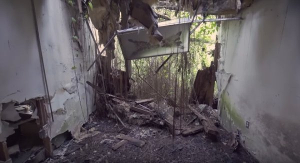 disney discovery island abandoned17