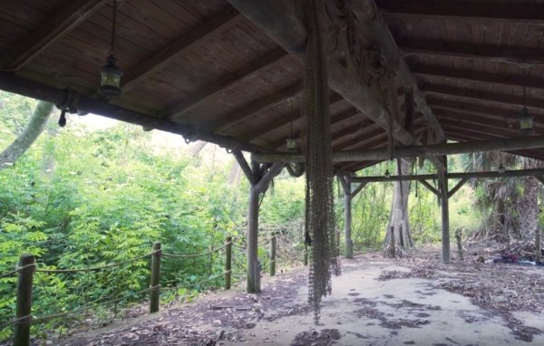 disney discovery island abandoned19