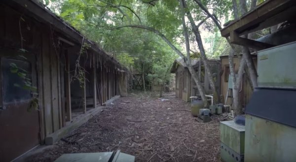 disney discovery island abandoned24