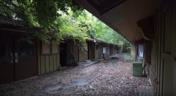 disney discovery island abandoned4