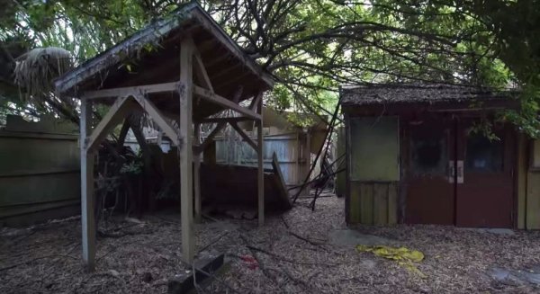 disney discovery island abandoned5