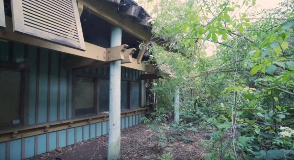 disney discovery island abandoned7