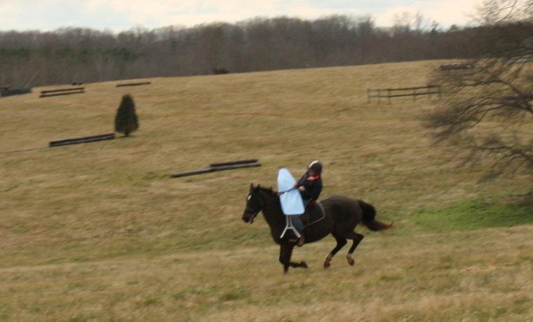 horseriding