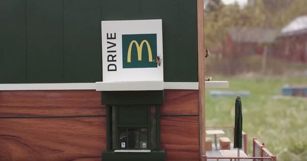 McDonald's khai trương cửa hàng nhỏ nhất thế giới dành cho ong?