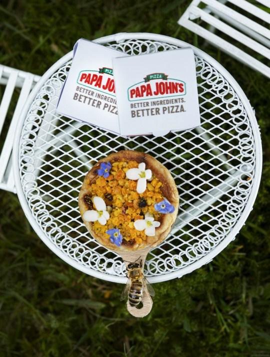 Papa John's ra mắt món mới 'Beezza' - bé đến nỗi chỉ dành cho các chú ong