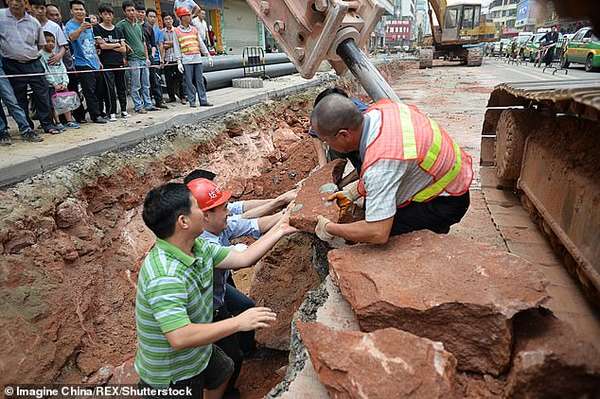 Cậu bé 10 tuổi phát hiện tổ trứng khủng long khi đang tò mò khám phá xung quanh bờ sông