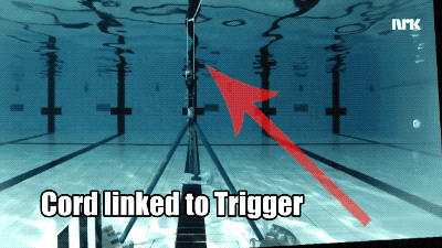 Nhà khoa học lấy thân mình làm bia đỡ đạn ở dưới nước và kết quả khó tin