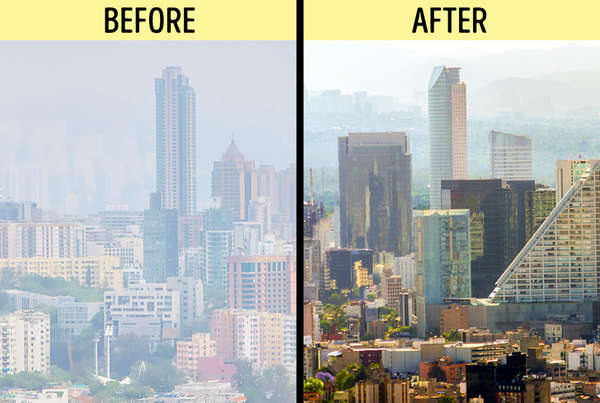 'Cây công nghệ' biến khói bụi thành khí oxy sẽ thay đổi môi trường thành phố