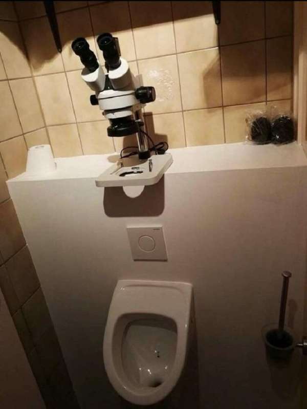 40 bức ảnh hài hước về những kiểu toilet siêu dị