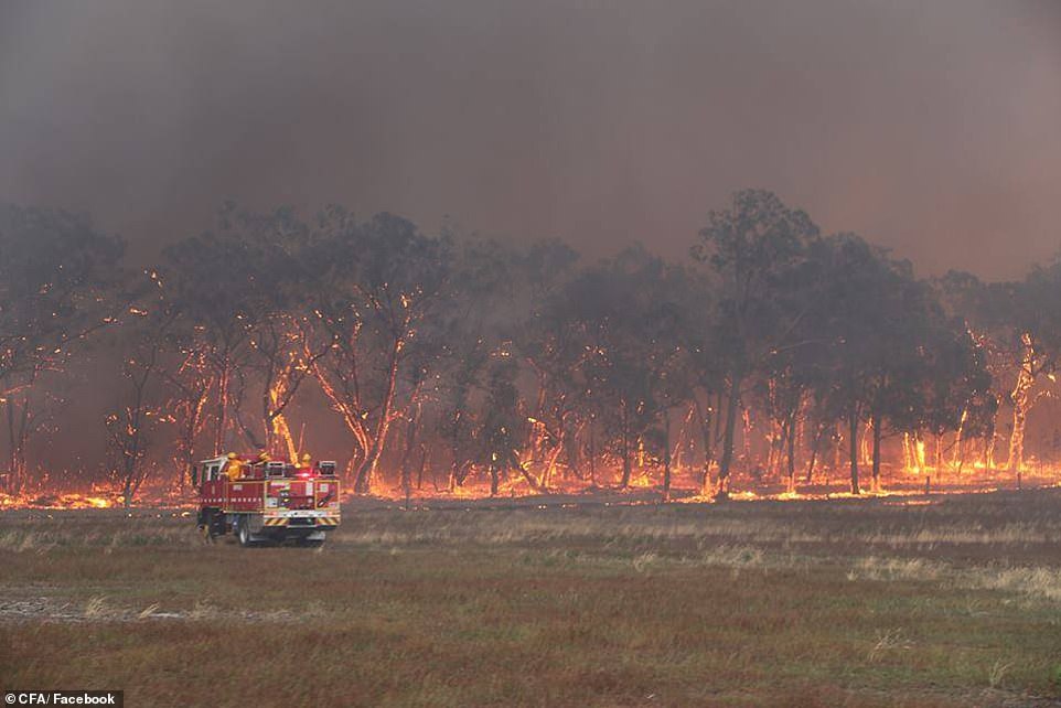 Firefighters tackling a blaze in Gippsland. Catastrophic fire conditions are forecast for Monday, leading Victorian authorities to warn holiday makers to evacuate immediately