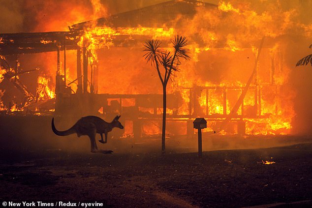 Flames have engulfed 12 million acres - nearly two thirds of the land area of Ireland, as wildfires have rampaged across the island of Ireland. These flames were by Lake Conjola last month