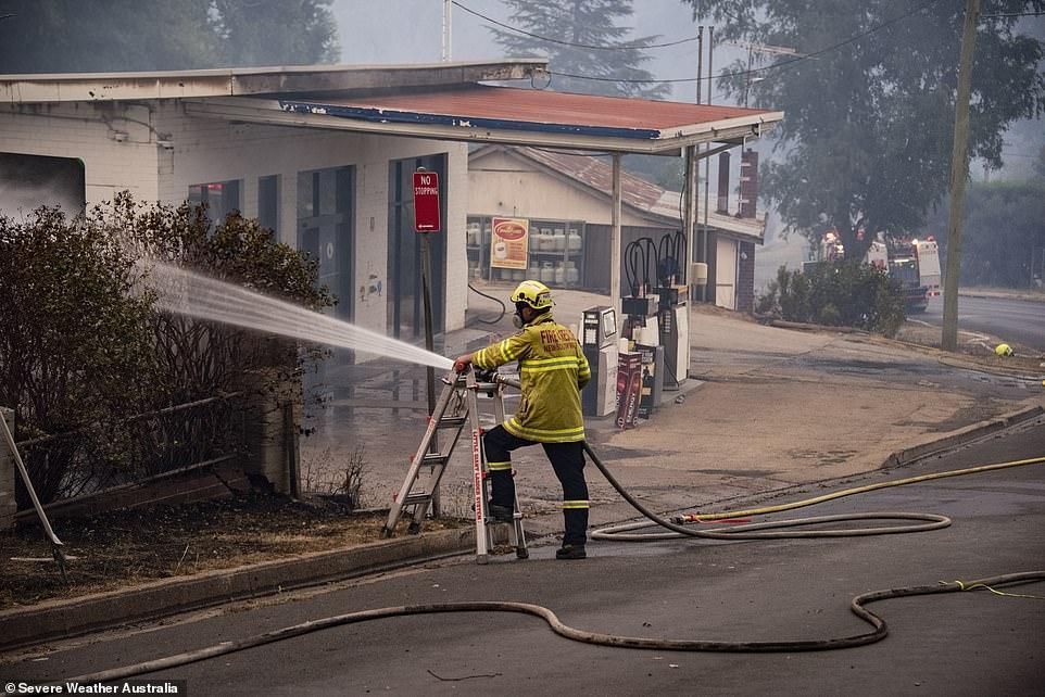 Pictured: A fire fighter trying to dampen bushes near buildings to avoid any ember attacks catching alight and creating new fires