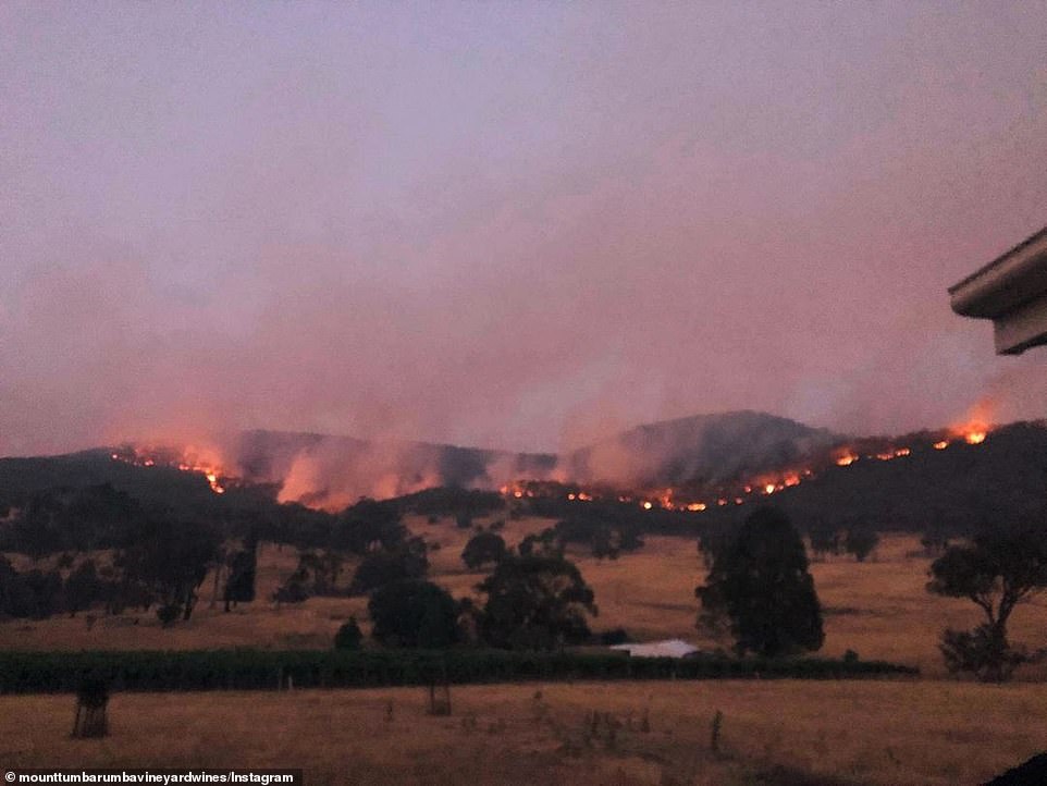 The fire (pictured) at Tumbarumba, which is on the edge of the Dunns Road Fire, burnt a huge area of bushland this week