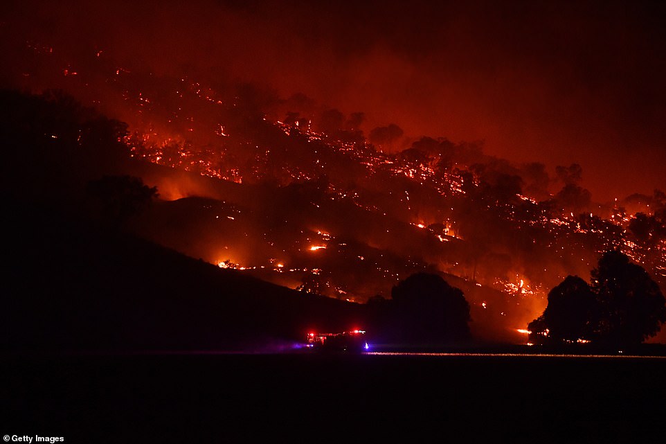 Rural FIre Service firefighters conduct property protection patrols at the Dunn Road fire today in Mount Adrah, Australia