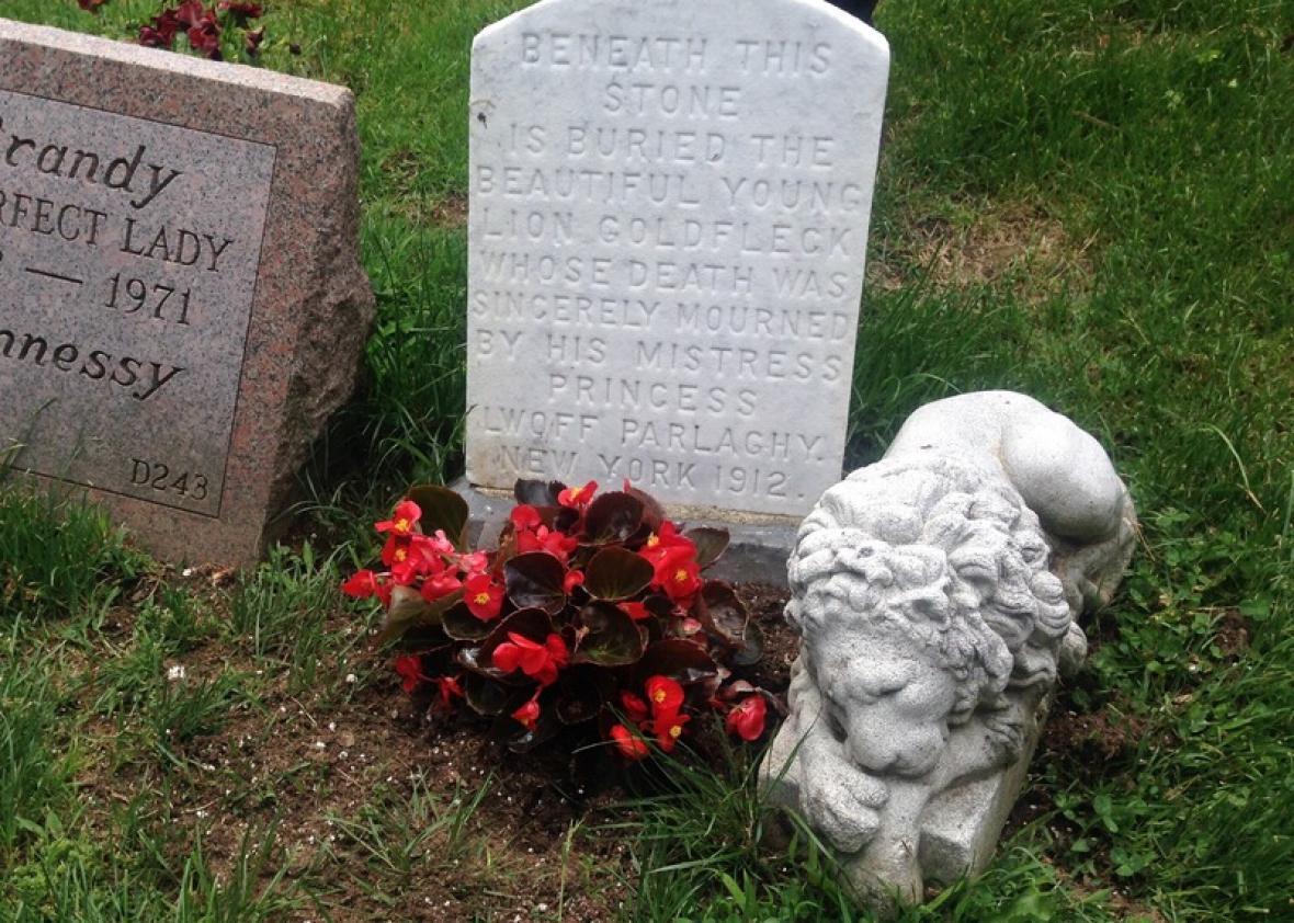 Goldfleck the Lion, buried in a New York pet cemetery, lived at ...